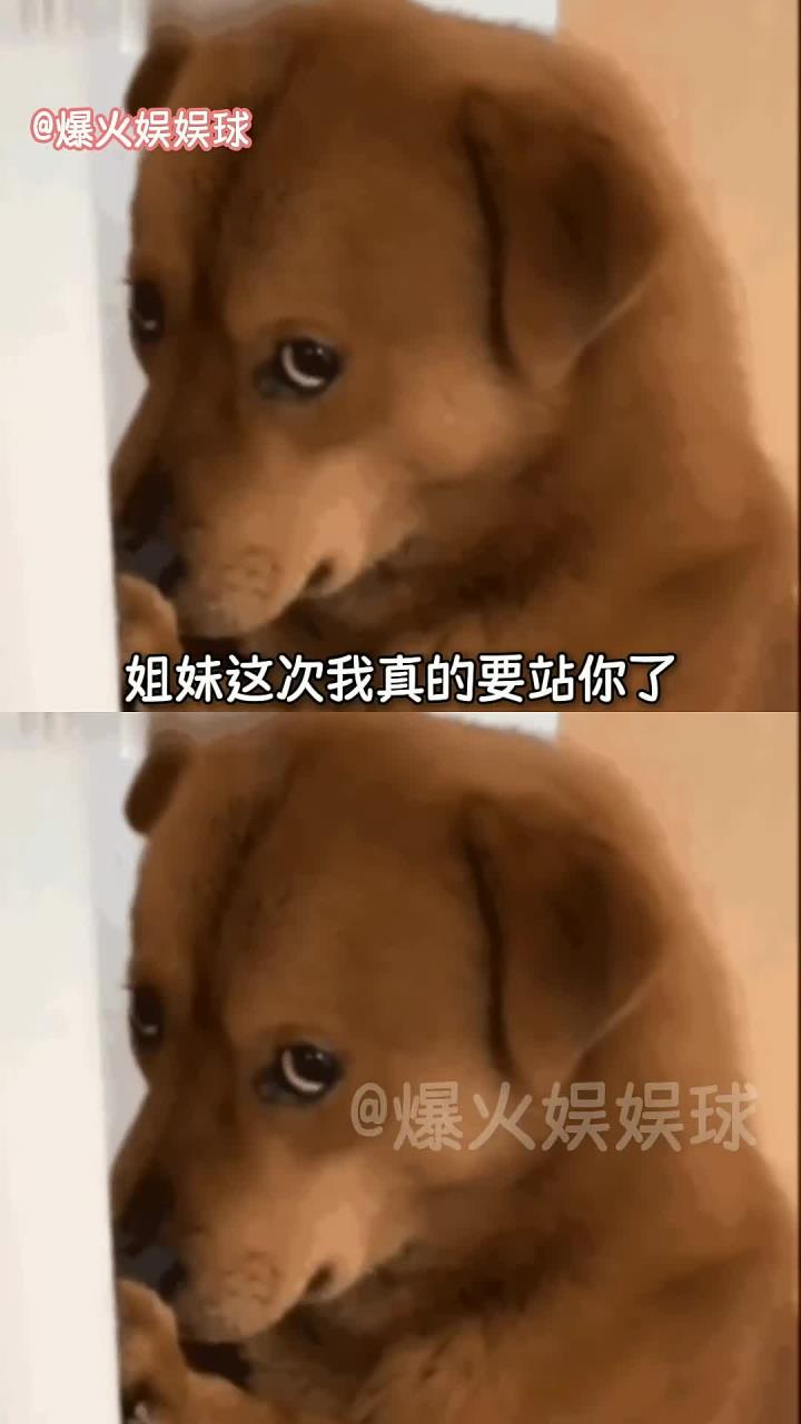 蛋糕都来安慰你了,你男朋友还不来 素材来源