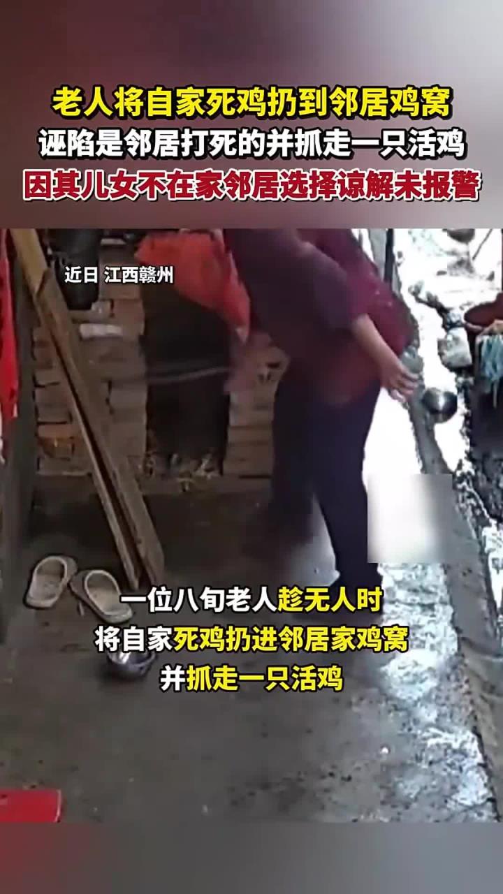 老人将自家死鸡扔到邻居鸡窝,诬陷是邻居打死的并抓走一只活鸡,因其儿女不在家邻居选