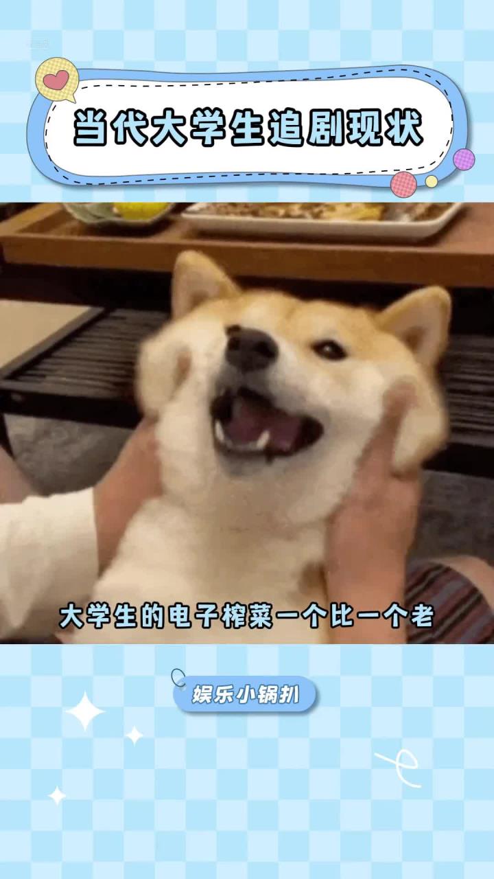 快把你的电子榨菜分享出来