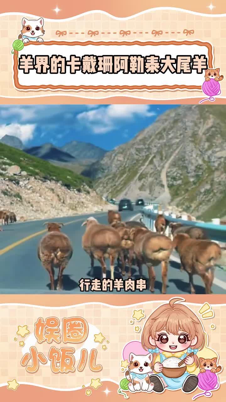 羊界的卡戴珊,行走的羊肉串—阿勒泰大尾羊