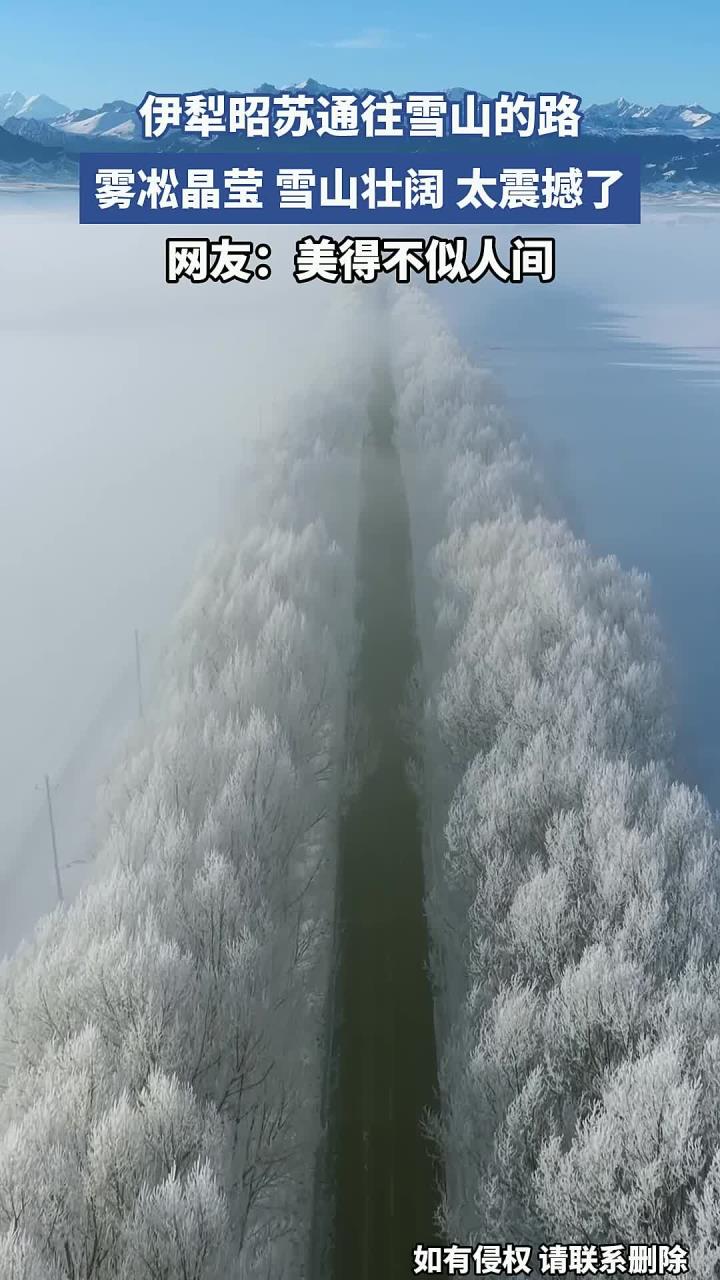 新疆伊犁昭苏,通往雪山的路覆满雾凇,每一帧都美成壁纸