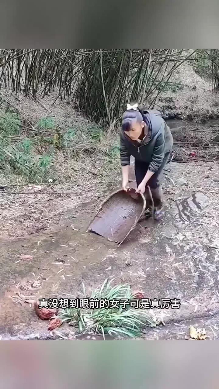 簸箕抓鱼，大开眼界了