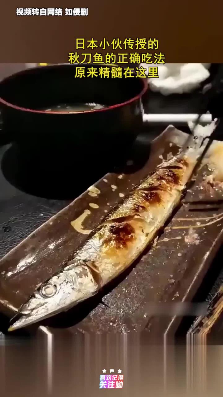 日本小伙传授的,秋刀鱼的正确吃法,原来精髓在这里!