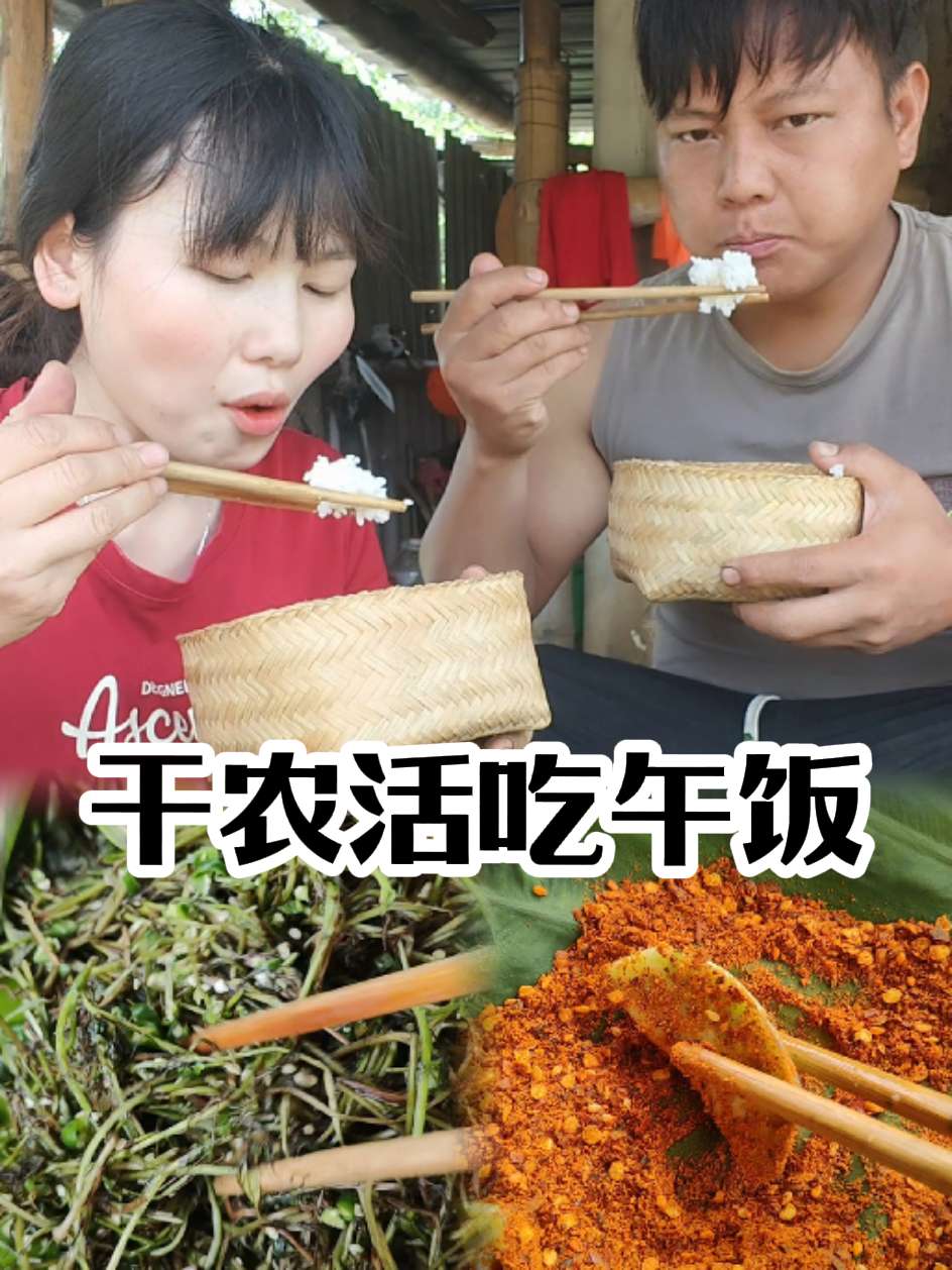 田里的饭菜是真的很香