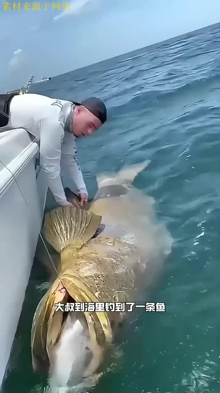大叔在海里钓到的,这是什么鱼?