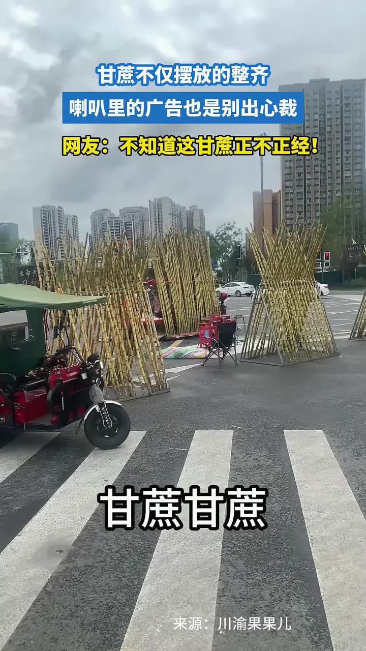 甘蔗不仅摆放的整齐,喇叭里的广告也是别出心裁!