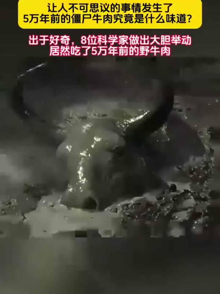 5万年前的僵尸牛肉是什么味道？8位科学家居然吃了5万年前的野牛