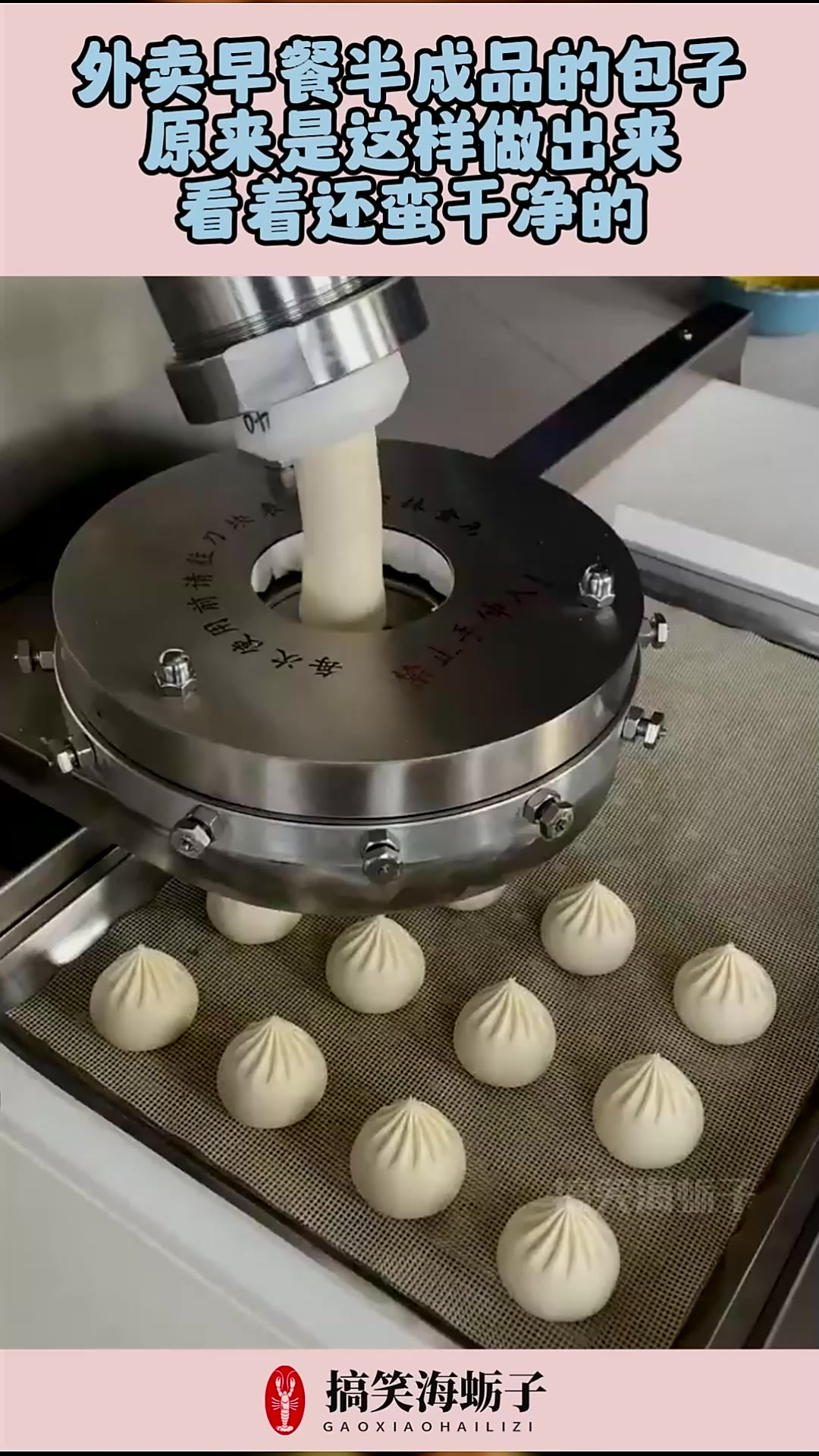 外卖早餐半成品的包子,原来是这样做出来,看着还蛮干净的!
