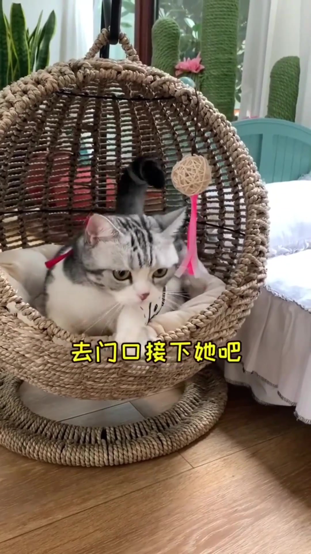泡芙的暴脾气 已经蔓延到小多多身上了