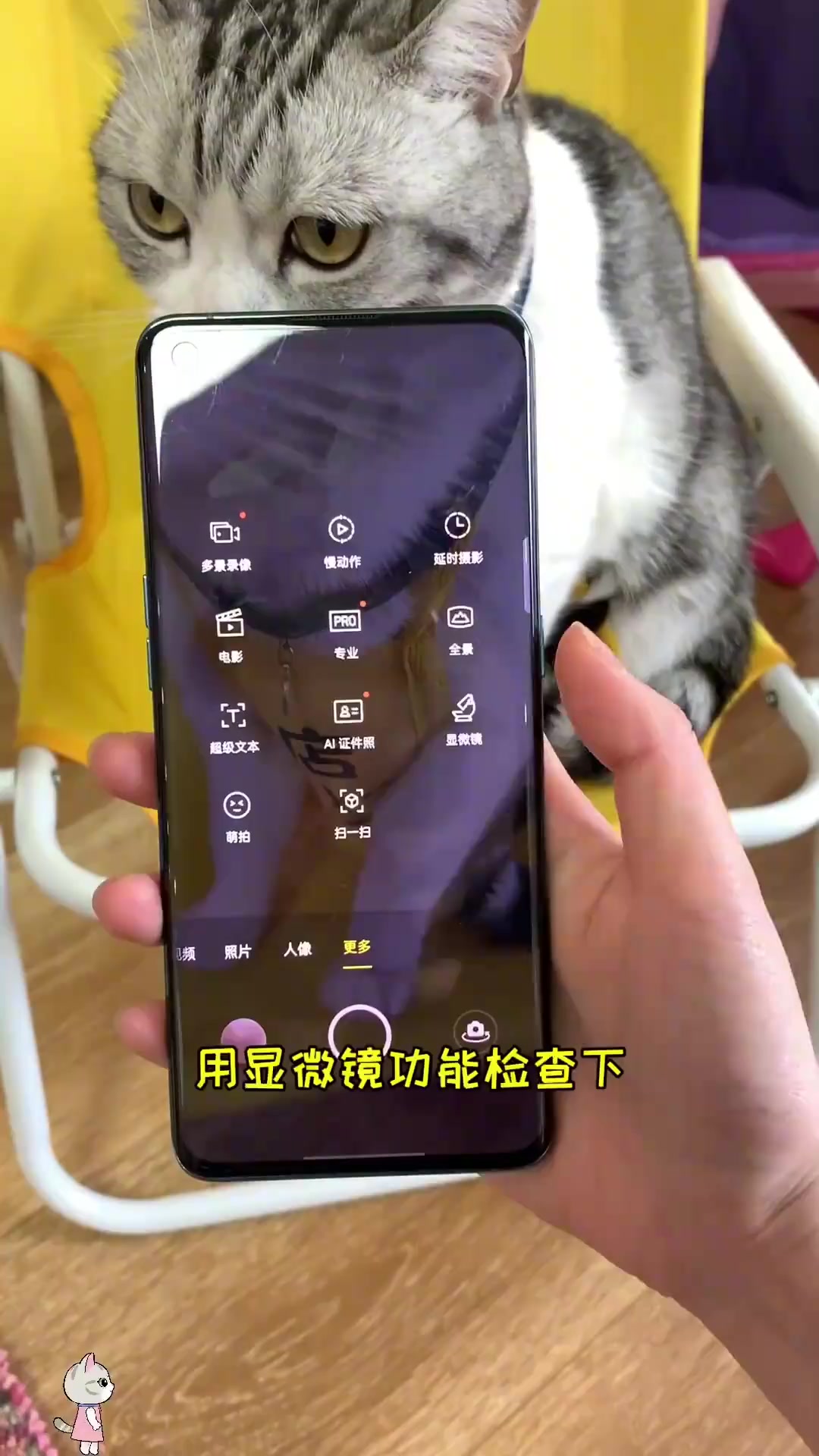泡芙的小卖铺开张了 欢迎大家光临