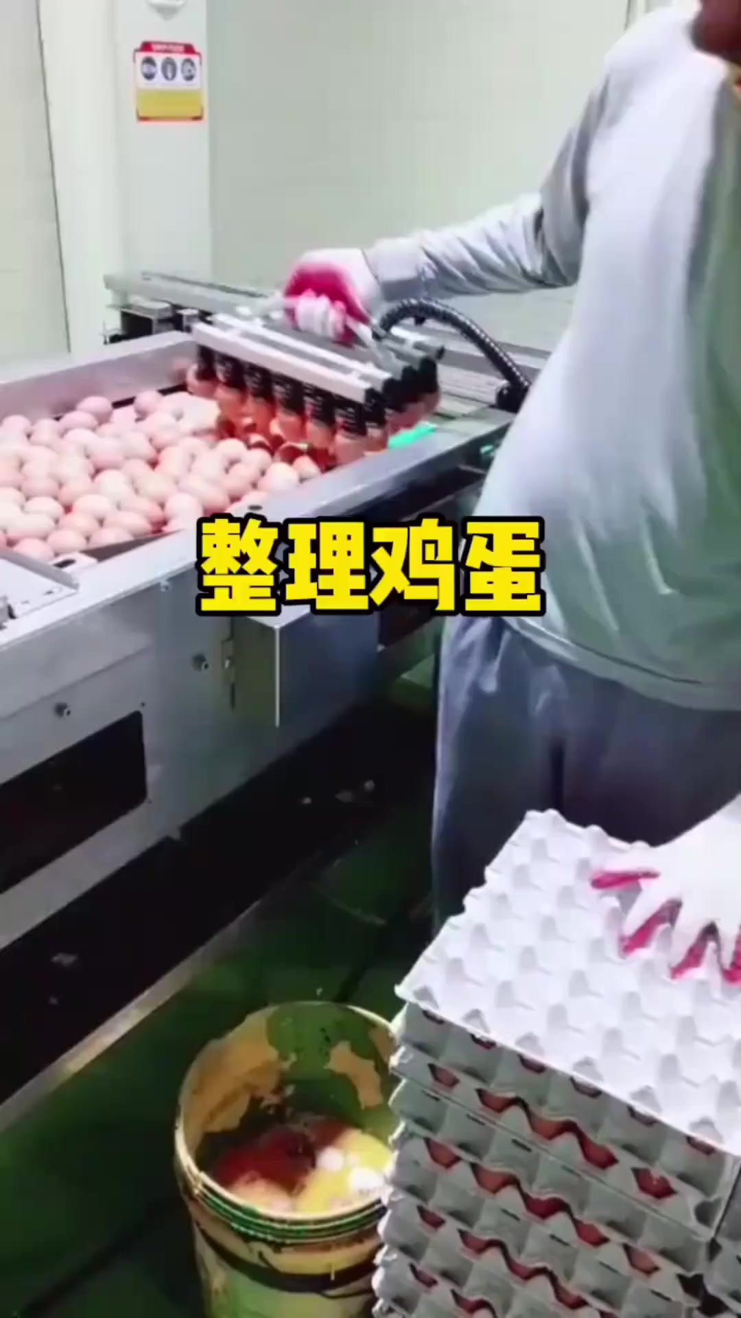 原来我们买的一板板的鸡蛋,都是这样放上去的啊