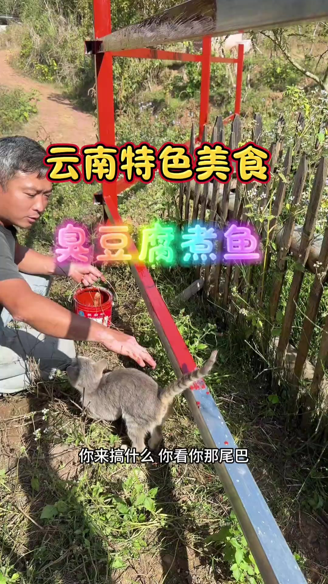 今天做一道云南特色美食，臭豆腐煮鱼！