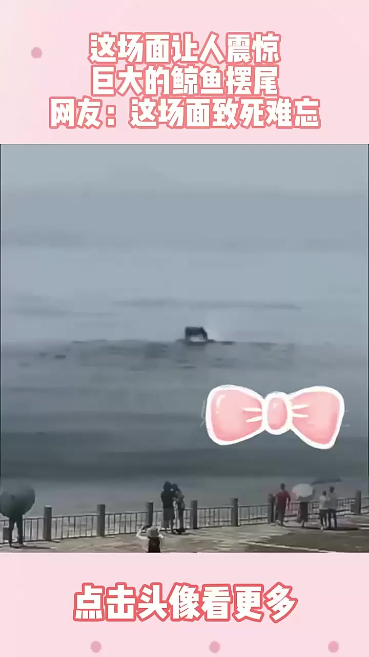 这场面让人震惊，巨大的鲸鱼摆尾，网友：这场面致死难忘