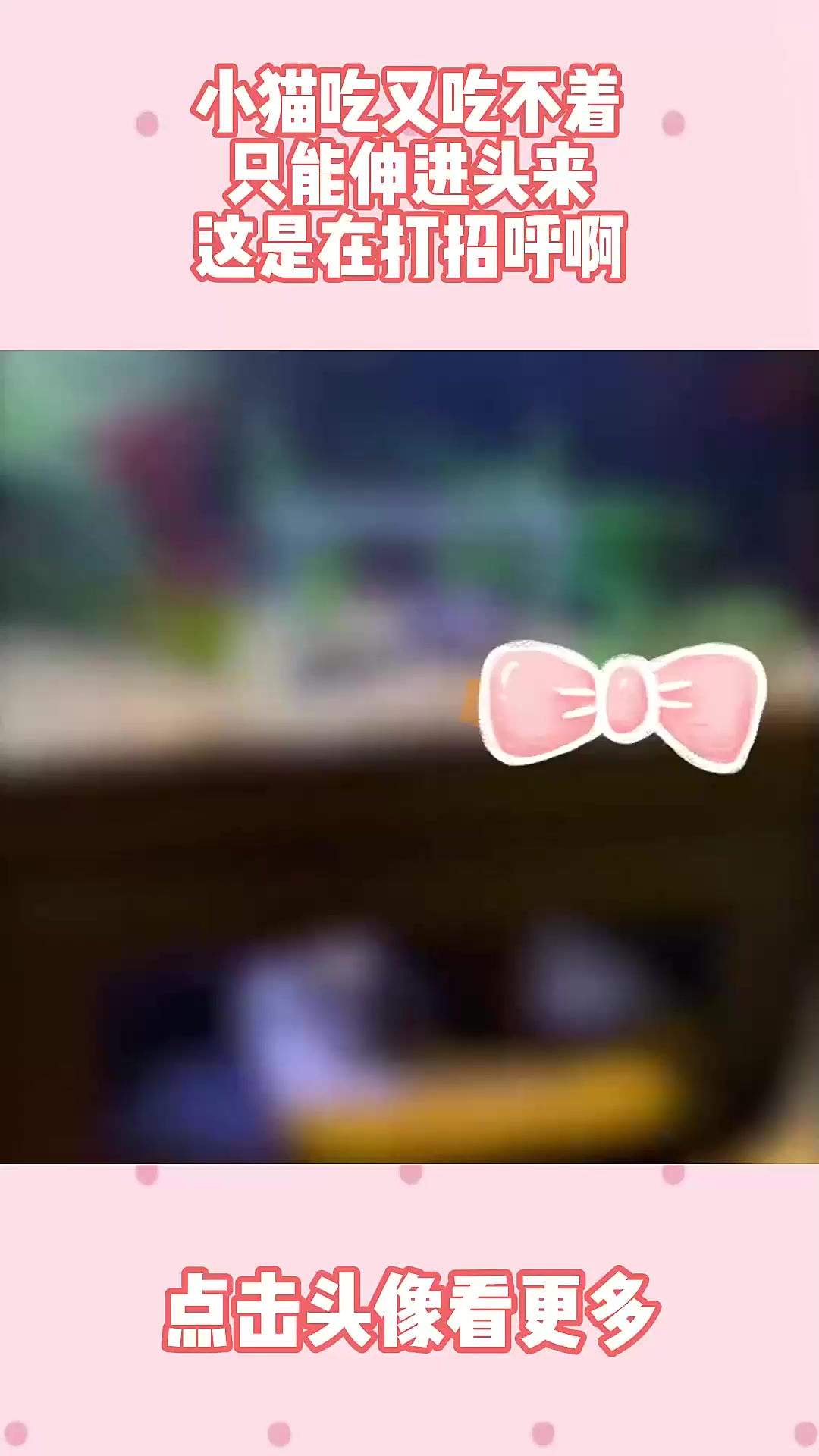 小猫吃又吃不着，只能伸进头来，这是在打招呼啊！