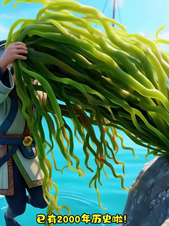 健康养生：龙须菜健康价值来源