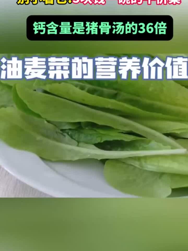5元一碗的油麦菜,补钙效果竟是猪骨汤的36倍!