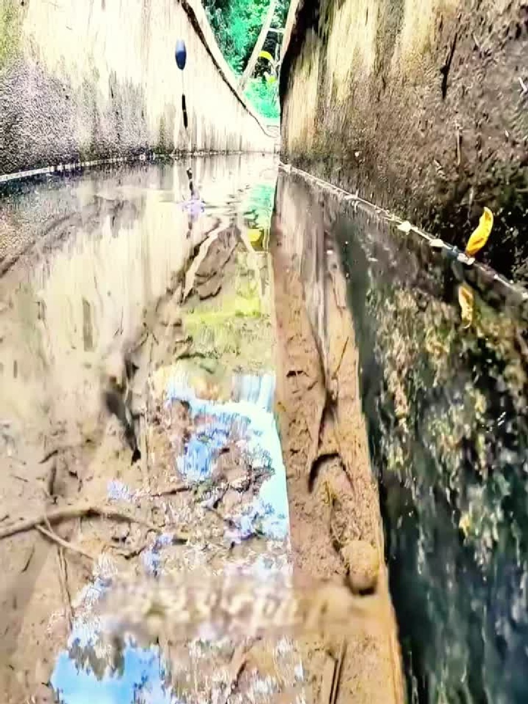 水下摄像头高清实拍溪鱼咬钩