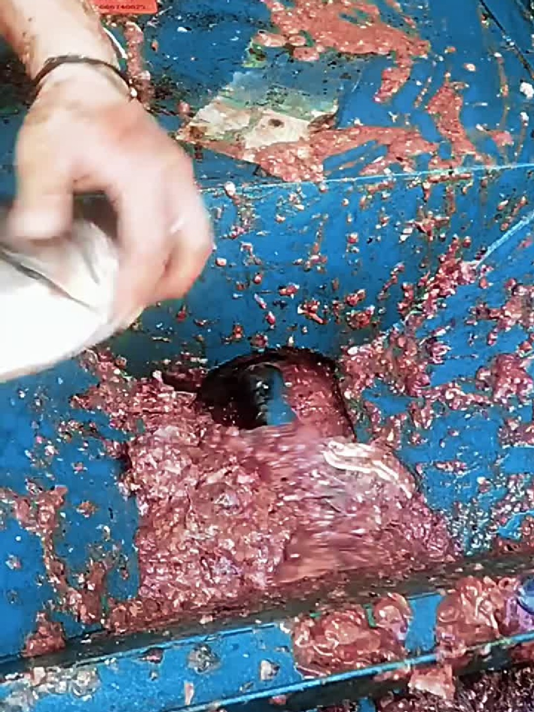 鱼丸鱼豆腐，就是这样做的