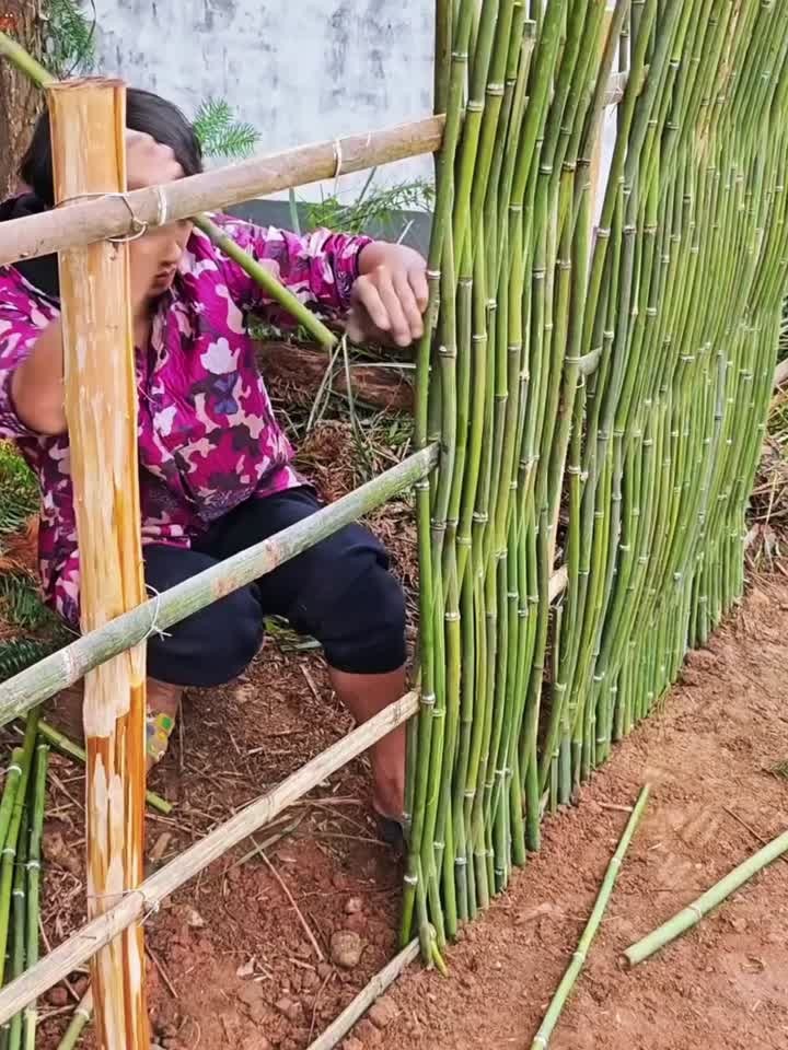 菜园围竹篱笆，编制技巧