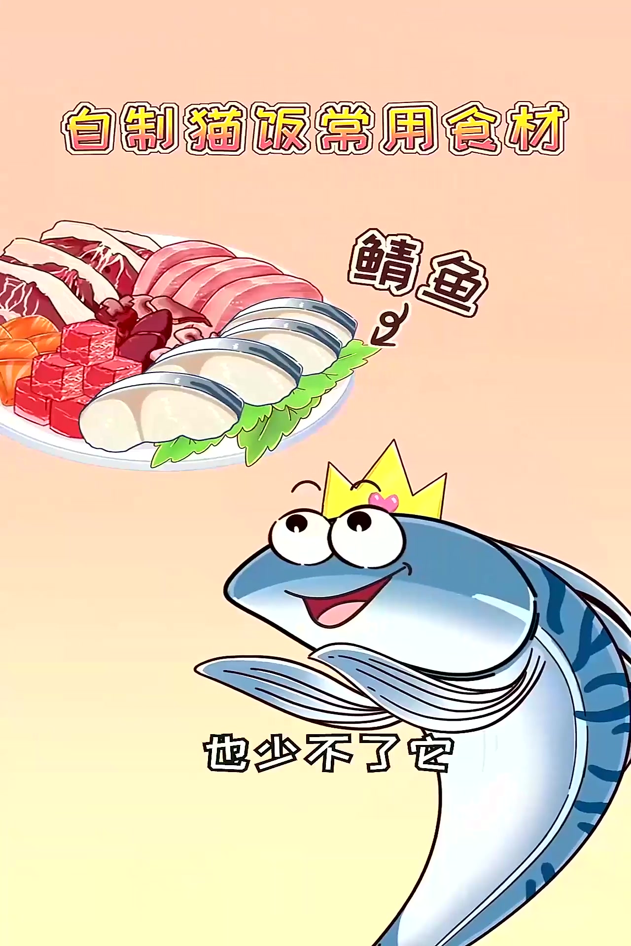 鲭鱼营养高于鸡鸭牛,吃它还能省鱼油钱!建议给猫咪安排哦