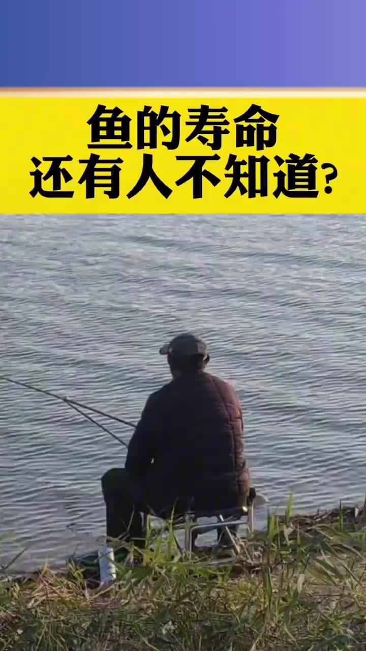鱼的寿命,还有人不知道吗
