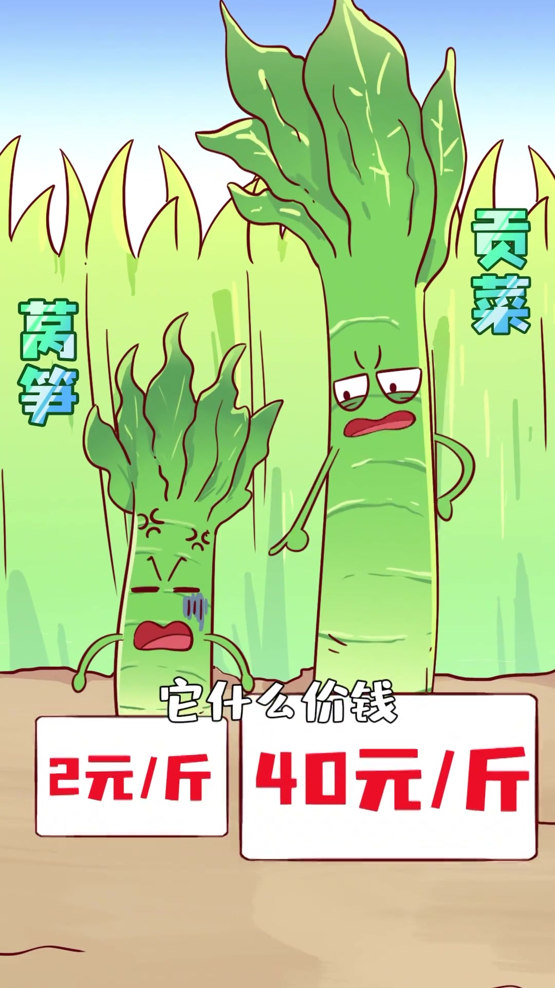 火锅里的“素菜之王”,贡菜为什么叫“贡”菜?