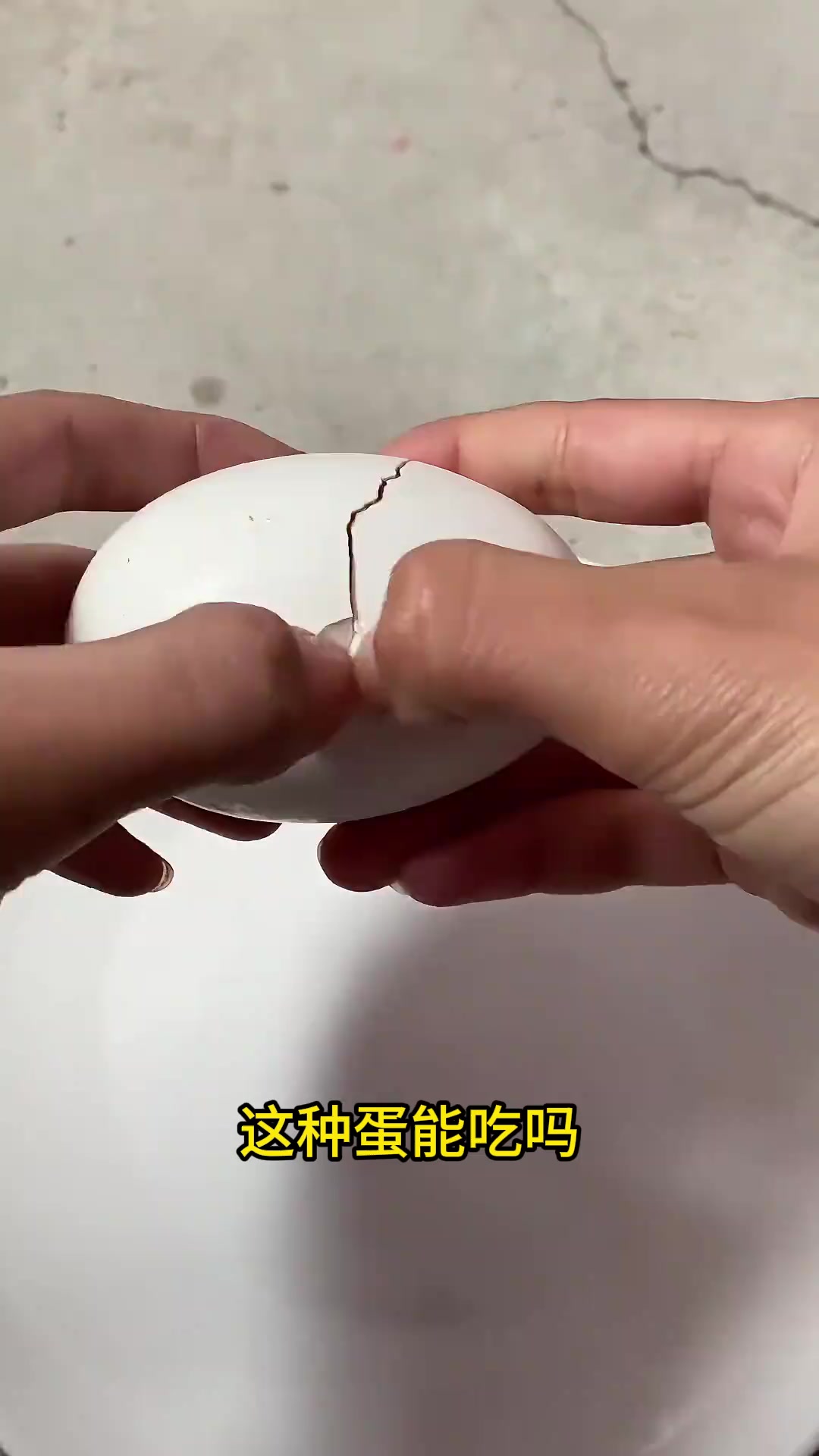 带你认识18种蛋，你吃过几种？