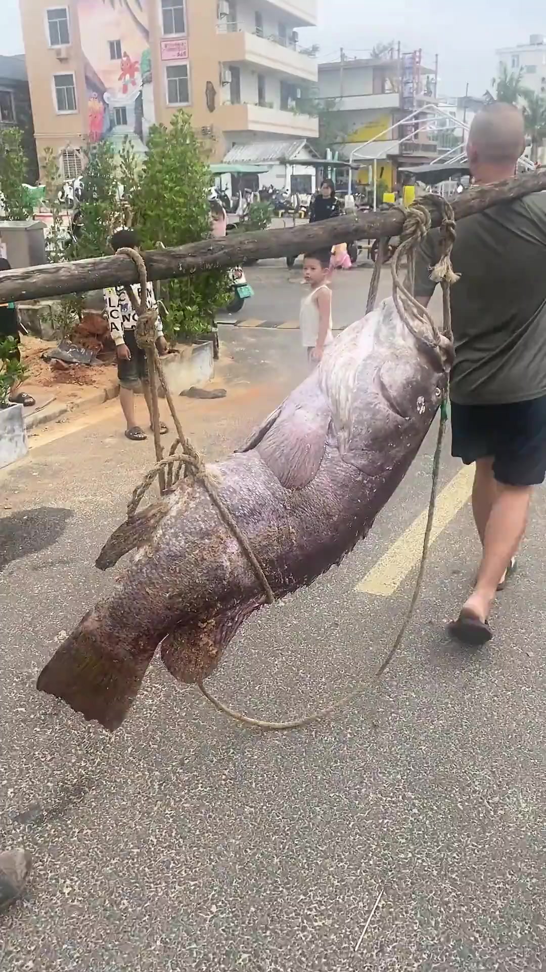 这18种鱼的价格你知道吗？