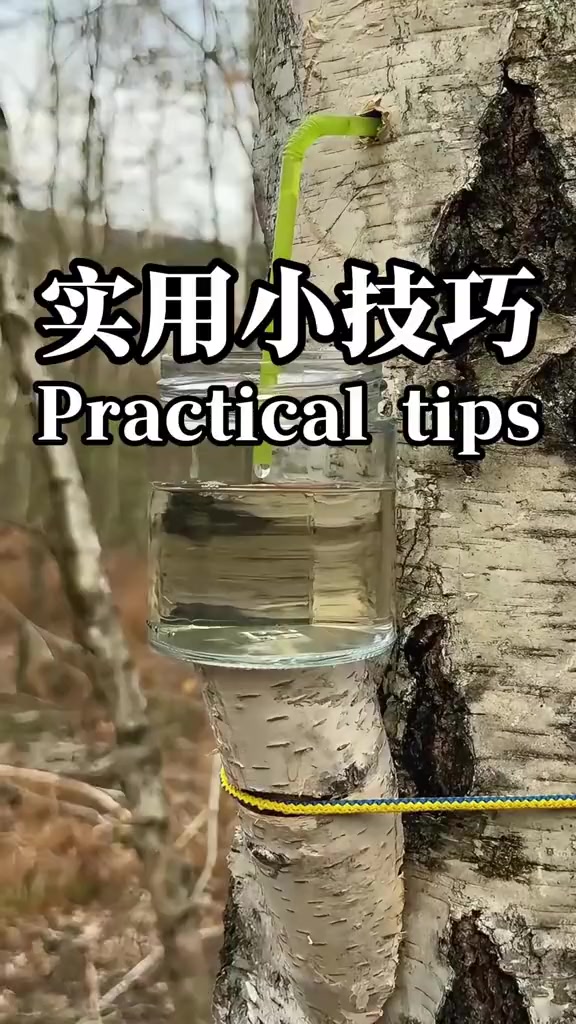 一个视频教会你各种diy技能,生活实用小技巧大全各种绳结系法大全及工具改造diy,野外生存