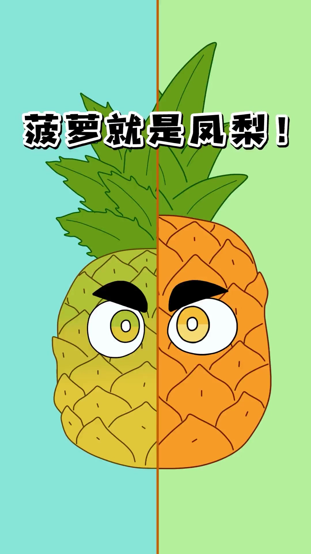 菠萝=凤梨!!