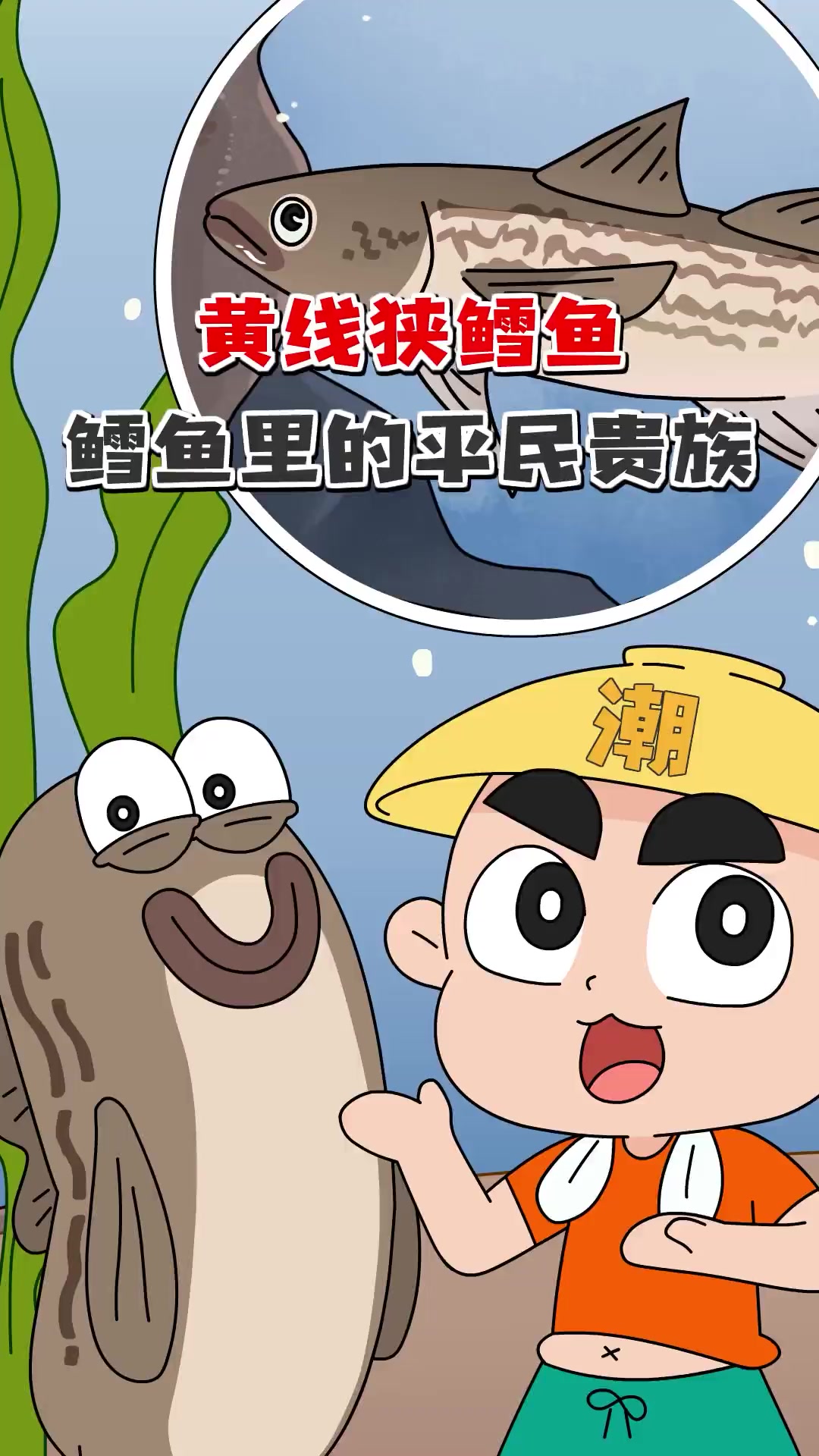 黄线狭雪鱼-鳕鱼贵族