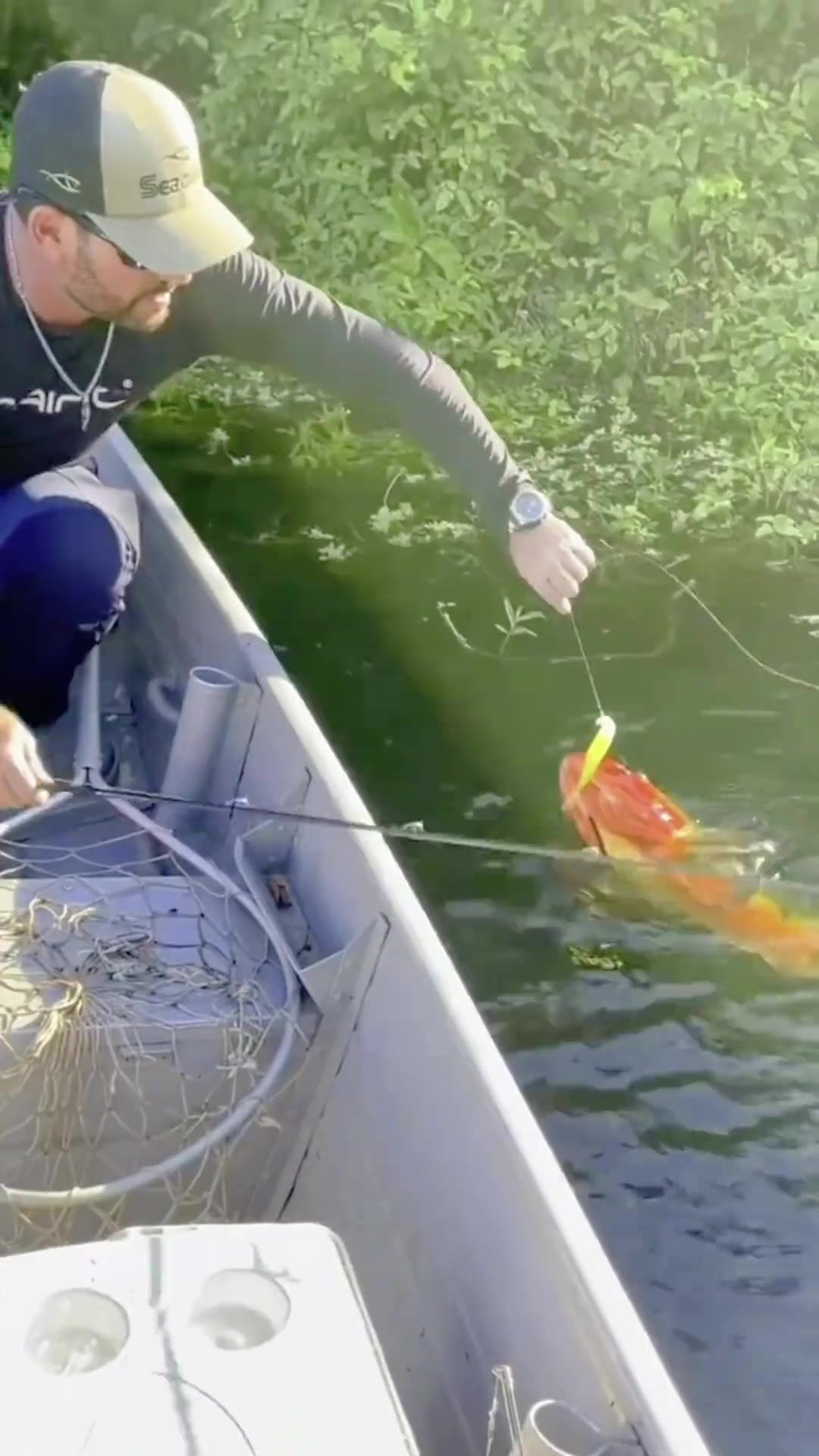 风浪越大，鱼越贵！