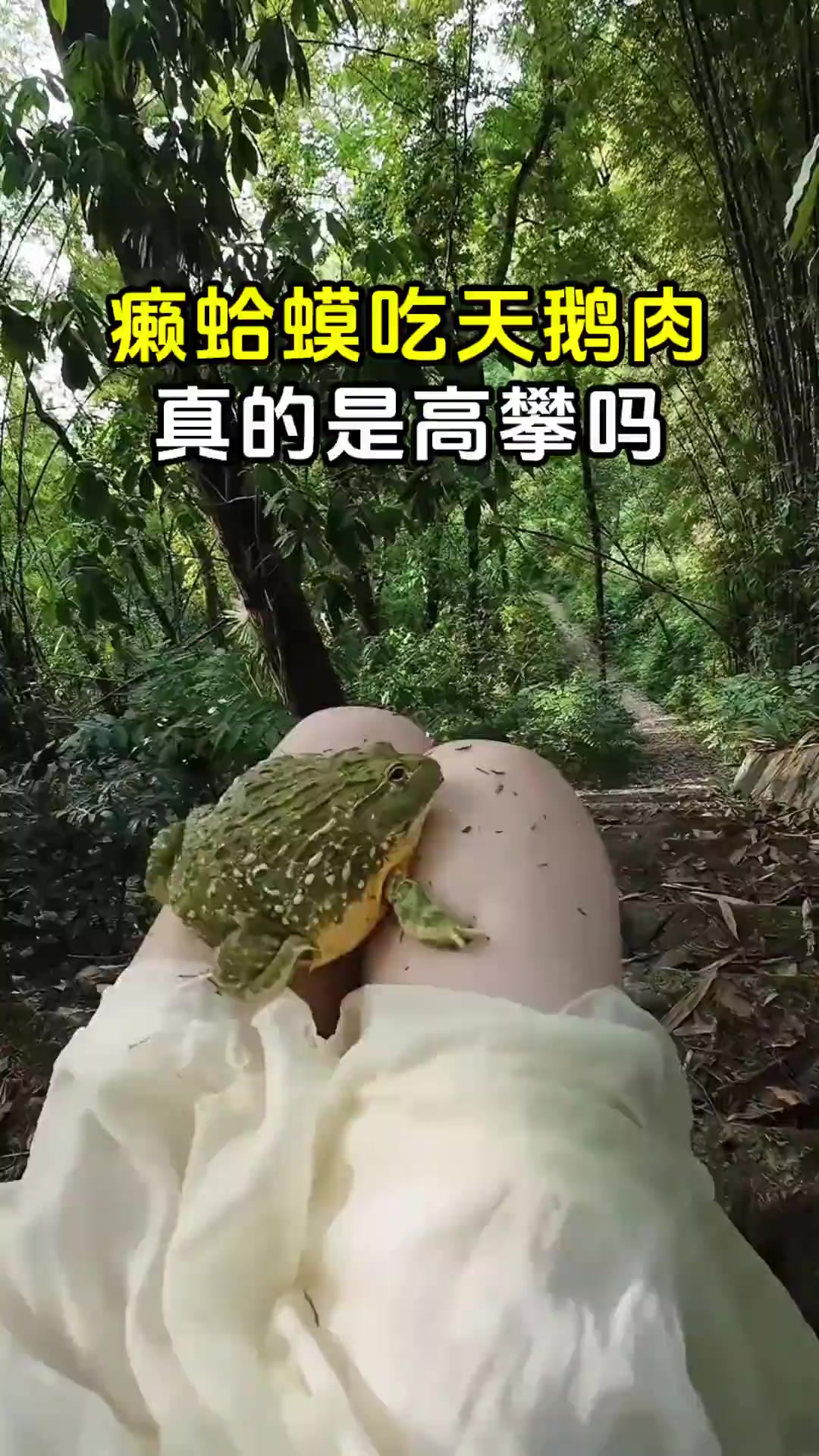 癞蛤蟆吃天鹅肉，真的是高攀吗？