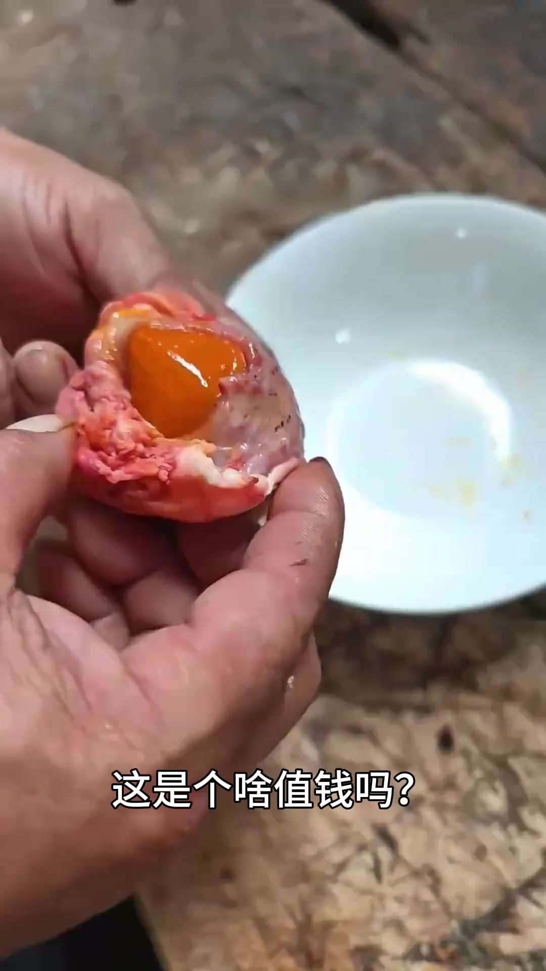 带你认识9种珍贵的“憋宝”，快看看你家里有吗？