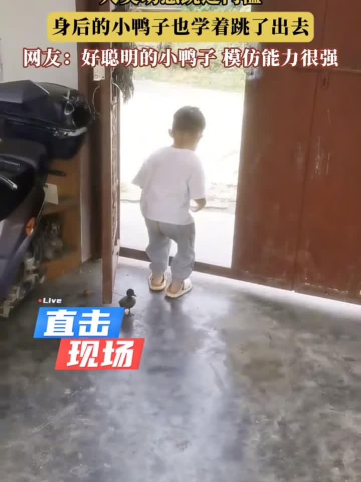 人类幼崽跳过门槛,身后的小鸭子也学着跳了出去
