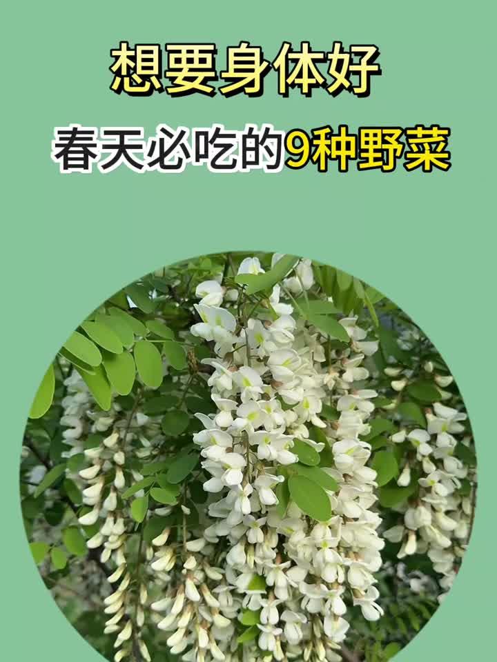 春天记得吃这9种野菜