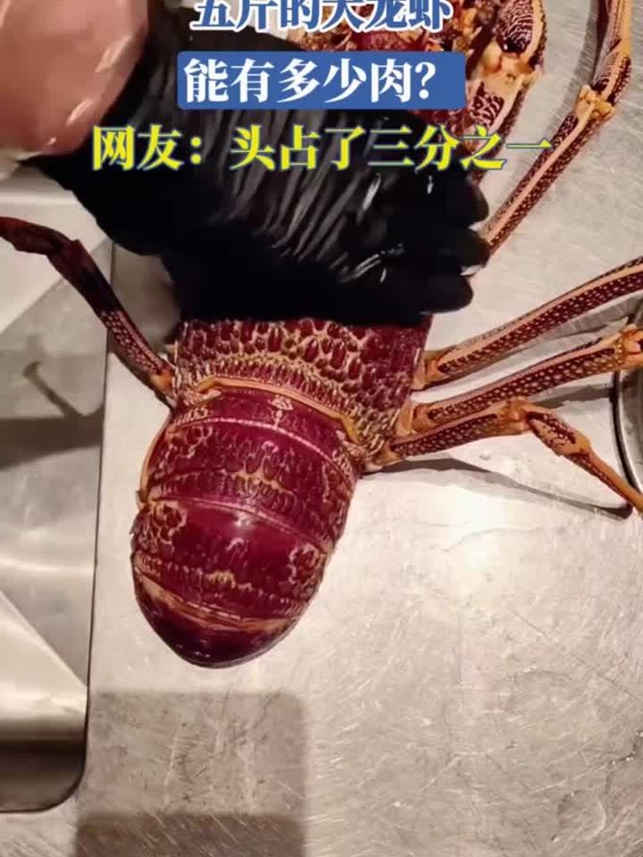 五斤的大龙虾,能有多少肉?网友:头占了三分之一