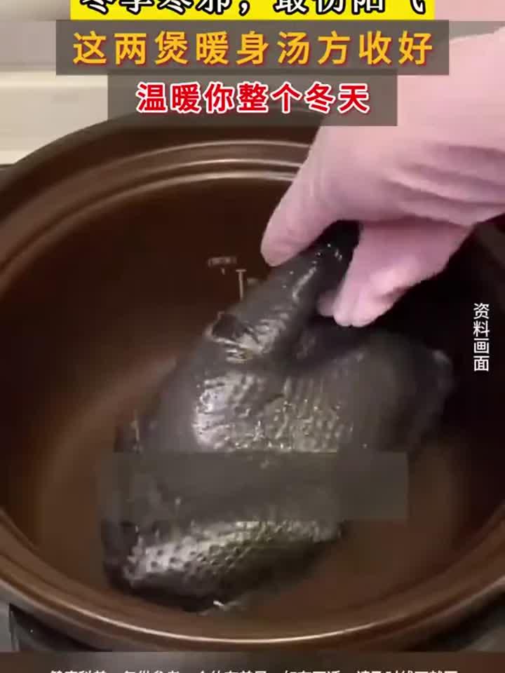 冬季寒气来袭,如何守护体内阳气?