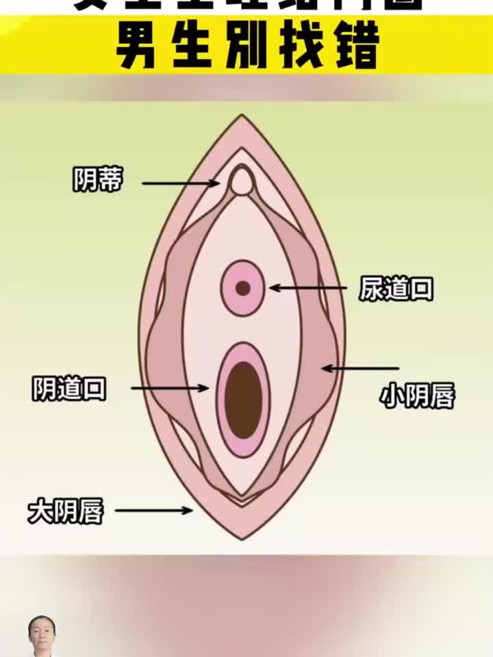 女生生理结构图男生別找错