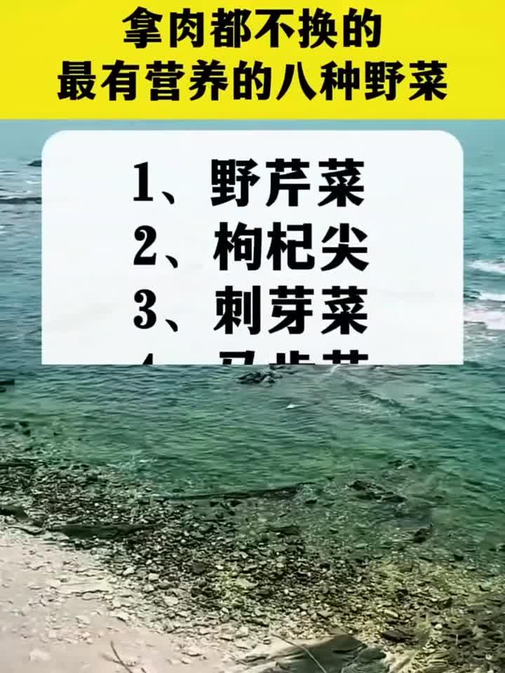 哪有都不换的最有营养的八种野菜