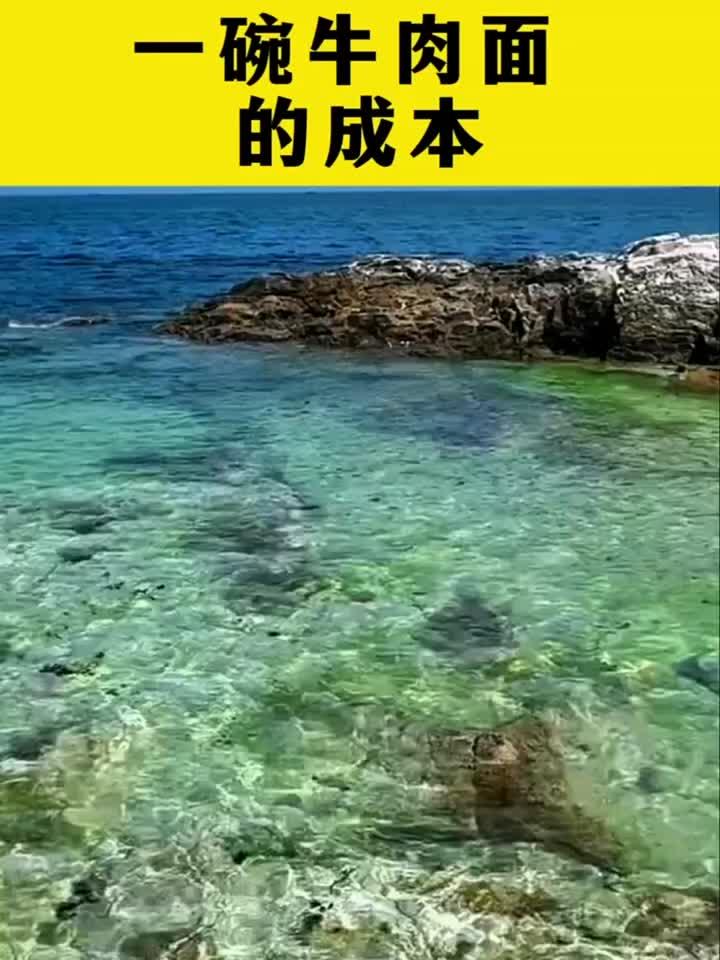 一碗牛肉面的成本