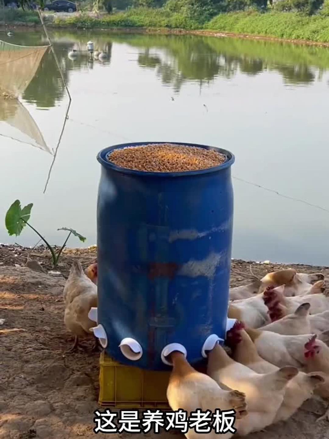 用桶制作的喂鸡神器真是太方便了