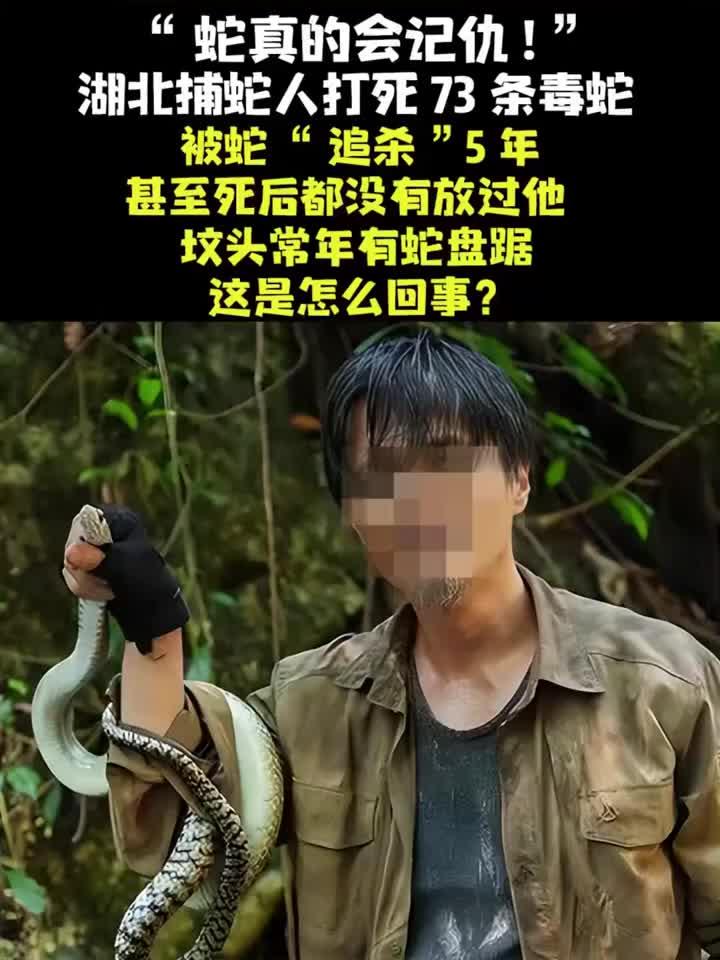 法律解读-湖北捕蛇人打死73条毒蛇,被蛇“追杀”5年
