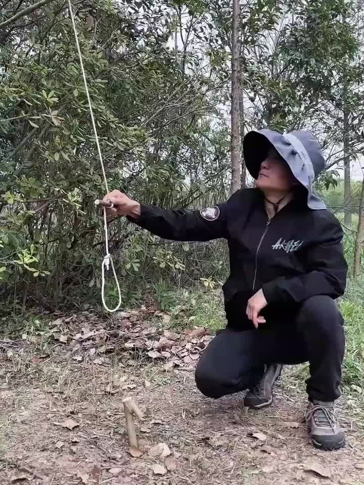户外荒野求生如何快速制作一个抓老鼠神器?