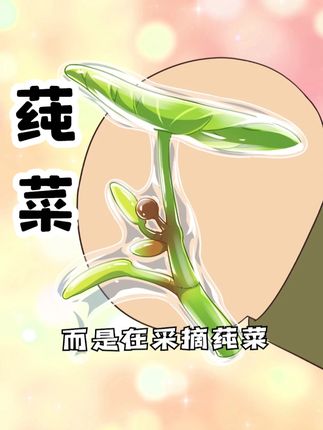 美丽的睡莲居然还有一位这么好吃的亲戚叫莼菜!