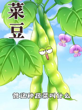 豆角？扁豆？清明豆？你的家乡管菜豆叫什么？