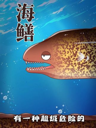 长得丑吃着香，危险的海中美味“海鳝”