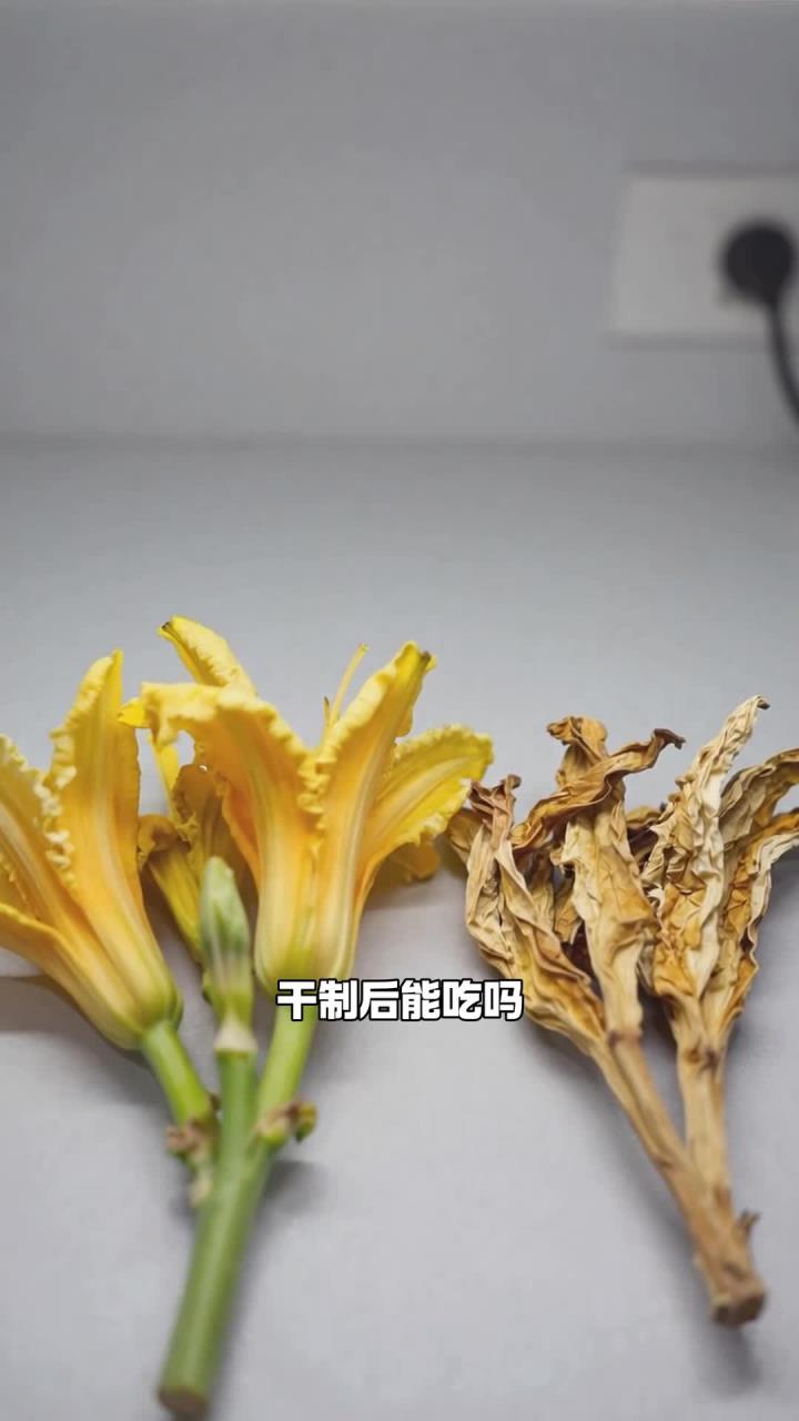 鲜黄花菜有毒,干制后,就能安全食用吗?