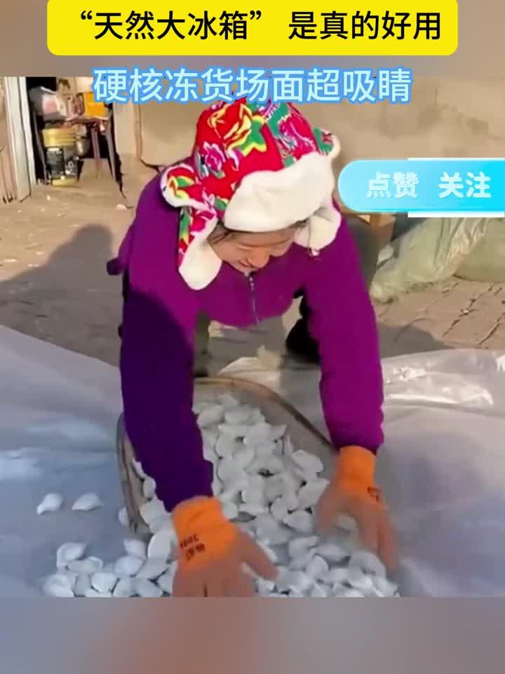 南方人被东北冻饺子现场震撼到了！东北室外大冰箱就是好使