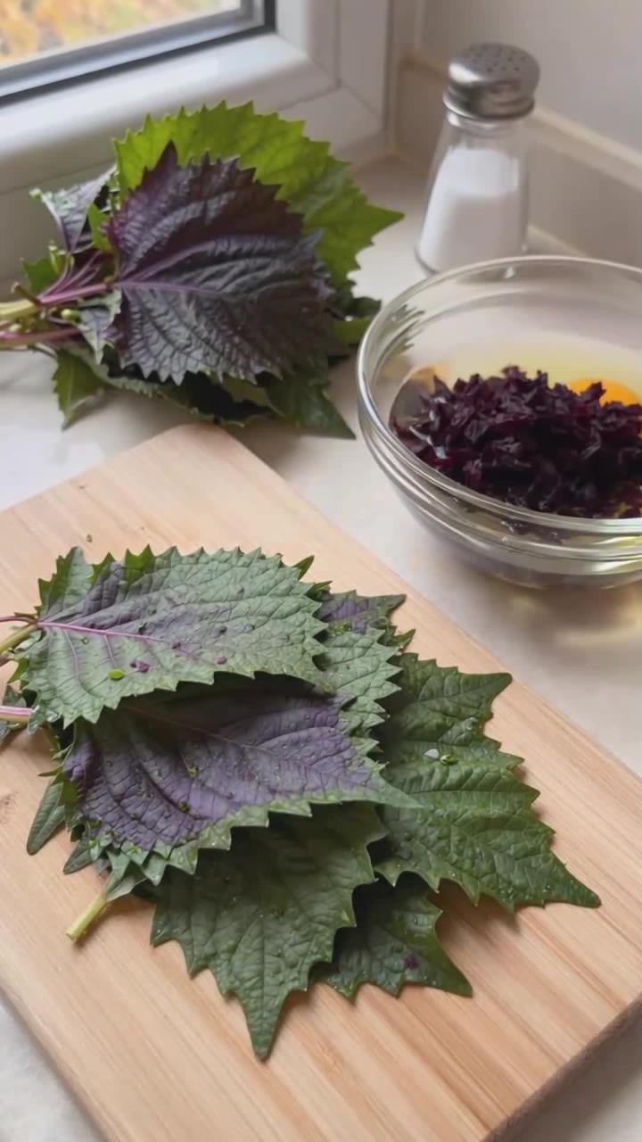 紫苏煎鸡蛋,换季舒缓的作用太强大!